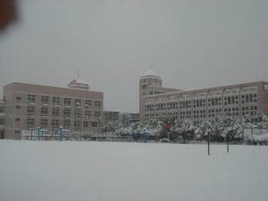 南京市莫愁中等专业学校雪景图