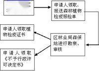 动植物检疫证书申请流程