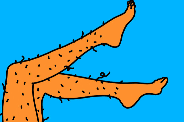 腿毛 人类大腿与小腿上生长的毛发 搜狗百科 腿毛 人类大腿与小腿上生长的毛发 搜狗百科