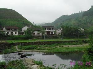 合村乡