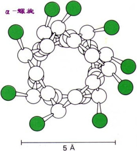 库什曼螺旋体百科图片