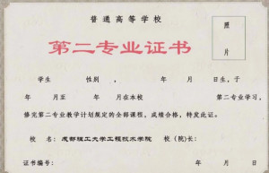 第二学位