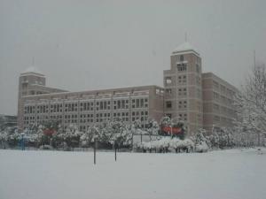 南京市莫愁中等专业学校雪景图.