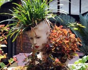 模特盆栽,是指用废弃的塑料人体模特,经过栽培打理做出的盆景造型.