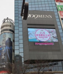 武大樱花广告登陆东京
