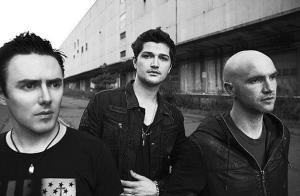 The Script