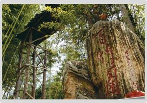 终南山国家森林公园