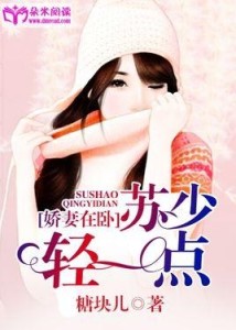 一点点喜欢你小说 300