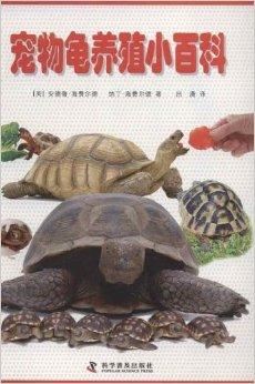 乌龟怎么养才会认主人 0