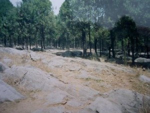 任山馆农民起义遗址