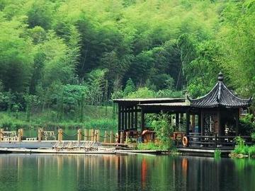 安吉大竹海景区 搜狗百科