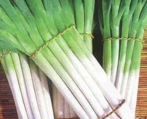 大葱