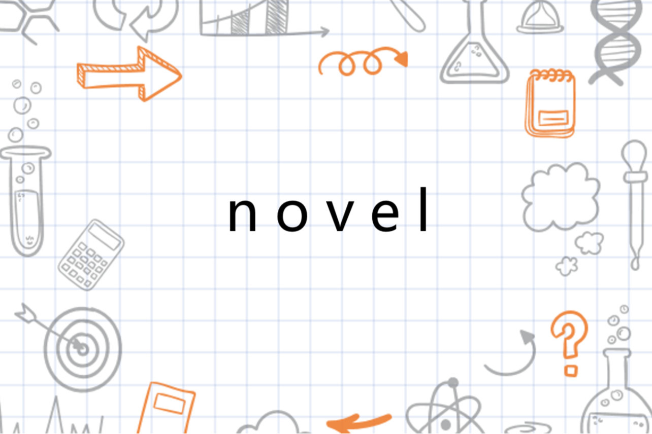 Novel Novel