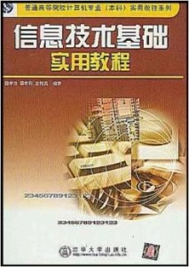 信息技术的应用实例 300