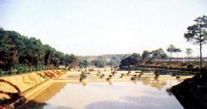 酃湖乡