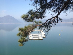 太平湖美景