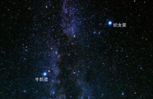 织女星