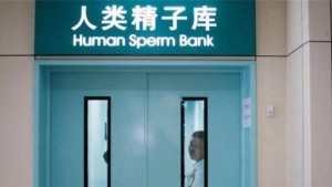 捐精
