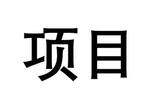 项目