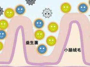 益生菌