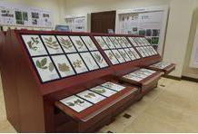 北京林业大学博物馆展室照片