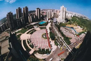 九龙坡区