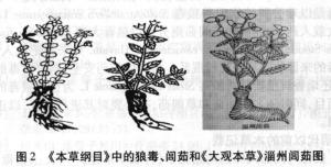 闾茹图册