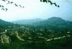 九景山庄风景区