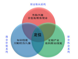 职业定位