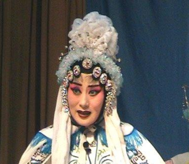 陈素琴