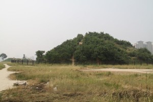 秦庄襄王陵 秦庄襄王陵