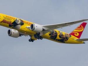 海南航空股份有限公司