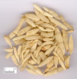 地黄煎是一道保健药膳,这道菜有养阴精,填骨髓的基本特点有利于调理