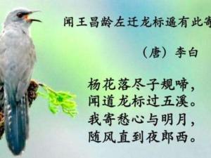 闻王昌龄左迁龙标遥有此寄