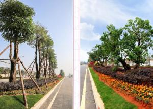 漳州圆山新城道路建设
