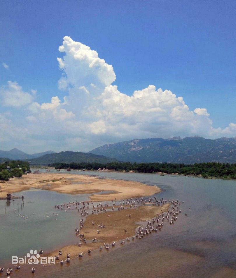 东溪(诏安县东溪) - 搜狗百科