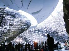 展示内容