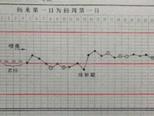 排卵期