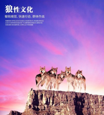 狼性文化