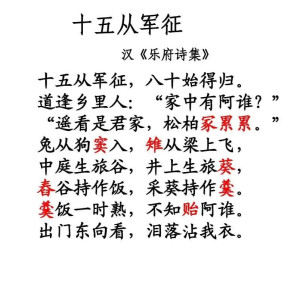 十五从军征