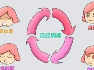 排卵期