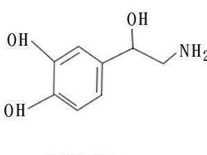 去甲肾上腺素