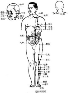 人迎穴所在经络穴位示意