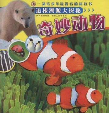 梦见鸡蛋变成了小猫,探索梦境中的奇妙转变与深层含义 梦见鸡蛋变成了小猫,探索梦境中的奇妙转变与深层含义