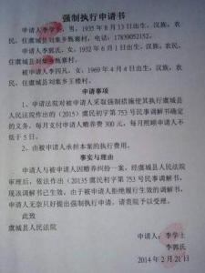 强制执行申请书
