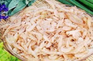 巢湖白虾