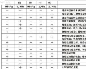 乙肝两对半对照表