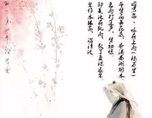昭君怨·咏荷上雨