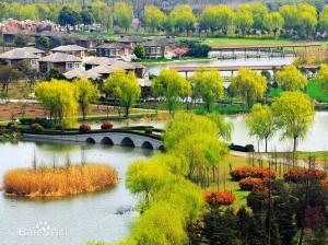 顾庄村