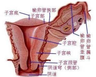 急性盆腔炎